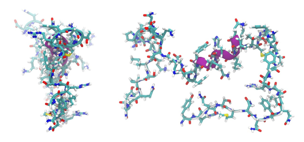peptide molecule